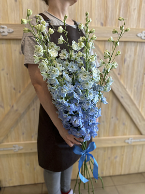 Букет из 7 дельфиниумов