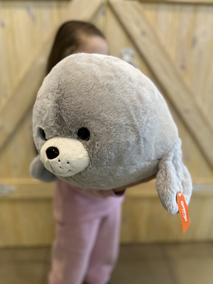 Морской котик серый